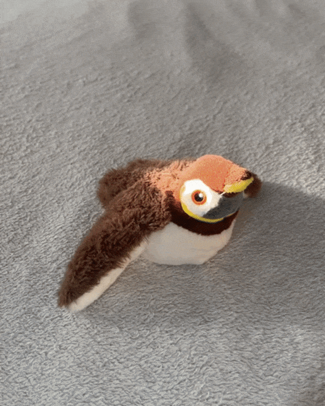 Movessira™ Interactive Catnip Bird Toy