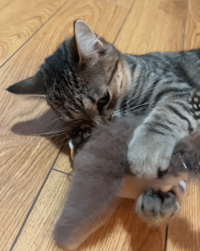 Movessira™ Interactive Catnip Bird Toy