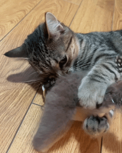 Movessira™ Interactive Catnip Bird Toy