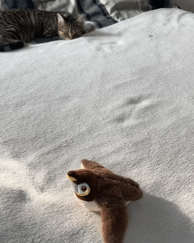 Movessira™ Interactive Catnip Bird Toy