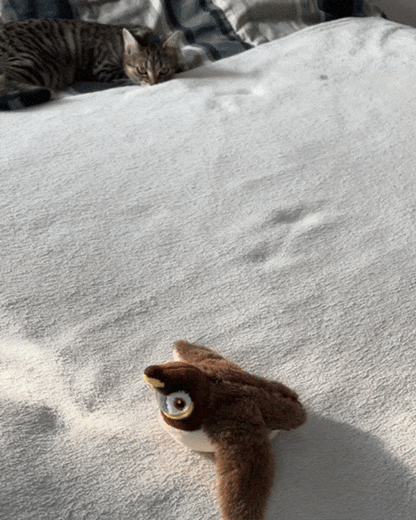 Movessira™ Interactive Catnip Bird Toy
